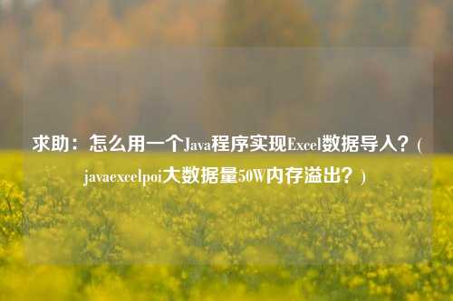 求助：怎么用一个Java程序实现Excel数据导入？(javaexcelpoi大数据量50W内存溢出？)