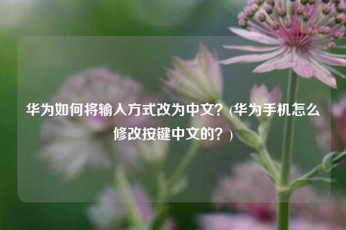 华为如何将输入方式改为中文？(华为手机怎么修改按键中文的？)