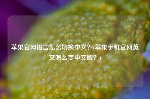 苹果官网语言怎么切换中文？(苹果手机官网英文怎么变中文版？)